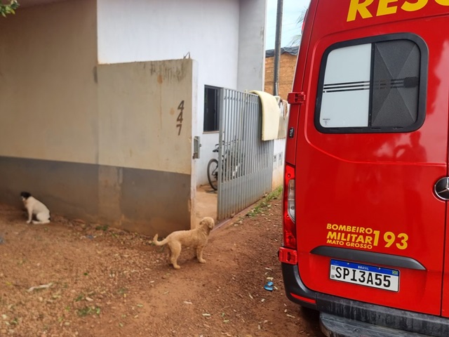 Sinop: Mãe e filhos são internados com suspeita de envenenamento