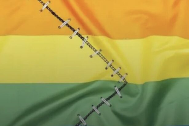 LGB sem T? Grupos gays rompem com ativismo trans após ‘perder espaço’ em pautas LGBTQIA+