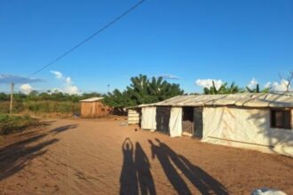 Sorriso: Justiça manda invasores deixarem fazenda de empresários