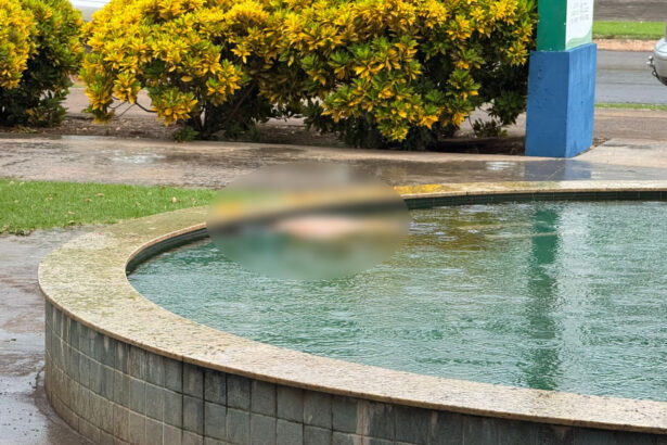 Lucas: Homem é encontrado morto, dentro de chafariz, na Praça da Feira do Produtor