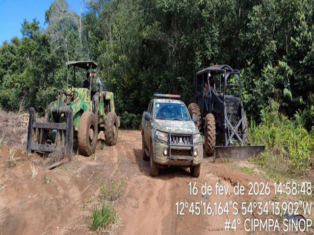 Nova Ubiratã: Criminosos derrubam árvores para bloquear viaturas e são presos por extração ilegal de madeira