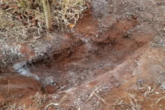 MT: Criança de 12 anos é resgatada de “tribunal do crime” após ser obrigada a cavar a própria cova