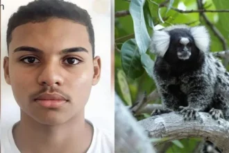 Adolescente morre de Raiva após ser mordido de sagui